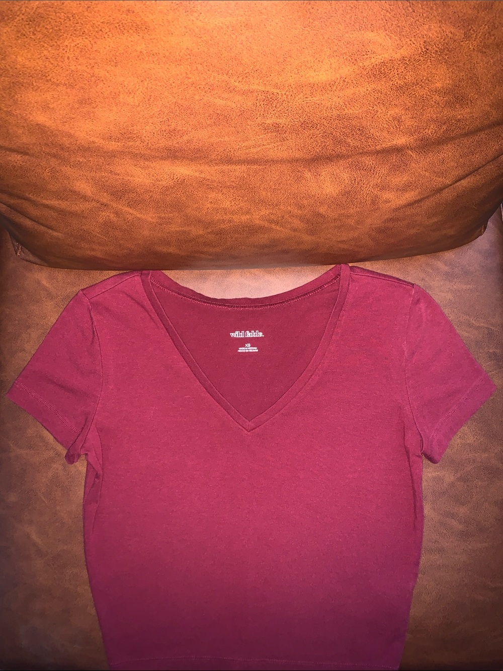 Wild Fable v-neck crop top